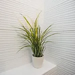 Kosic Apartment *